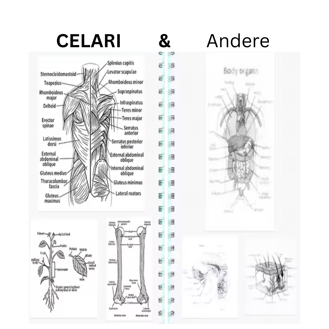 CELARI Print Pix - überall & jederzeit alles drucken