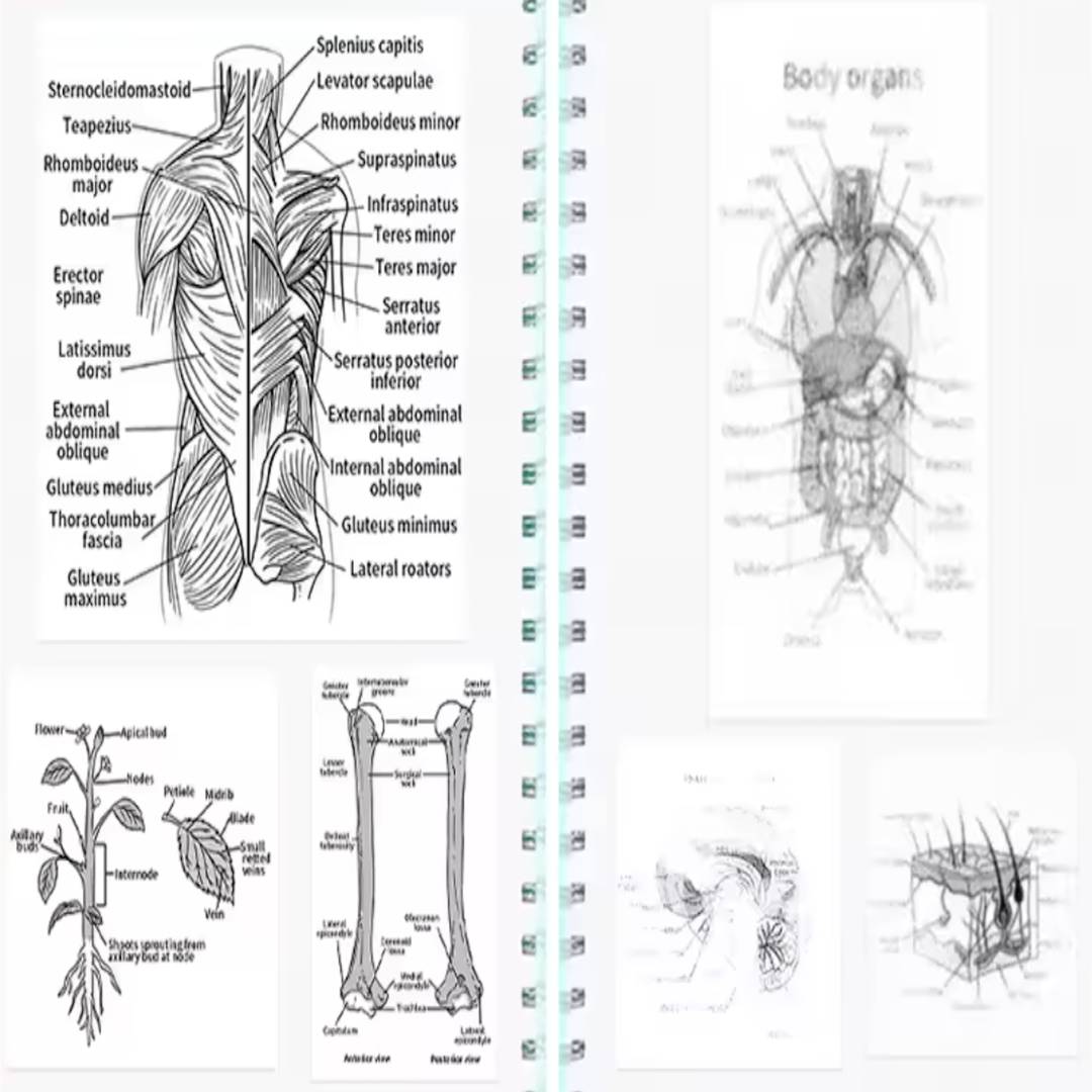 CELARI Drucki 3.0 - überall & jederzeit alles drucken